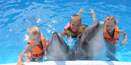 Отдых в Крыму на Тарханкуте - дельфинарий